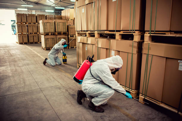 Best Local Pest Control Services  in Truth Or Consequences, NM