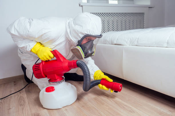 Pest Prevention Services in Truth Or Consequences, NM