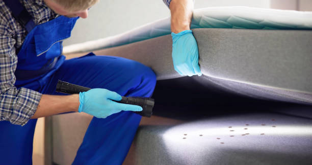 Best Wasp Removal Services  in Truth Or Consequences, NM