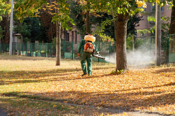 Reliable Truth Or Consequences, NM Pest Control Solutions