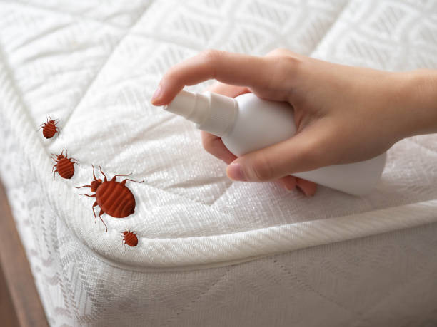 Best Pest Prevention Services  in Truth Or Consequences, NM