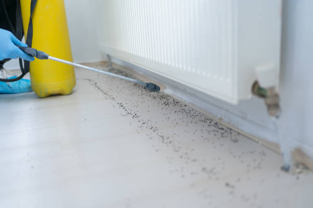 Pest Control Cost in Truth Or Consequences, NM