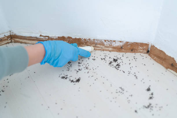 Best Commercial Pest Control Services  in Truth Or Consequences, NM